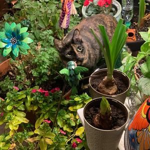 Meet your Posher, Lori